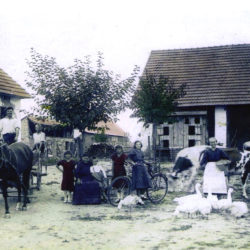 Polacy na Orawie w Węgrzech