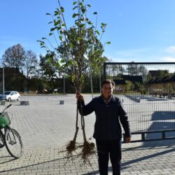 „Drzewko owocowe od Emila Miki” – gminna akcja zbiórki baterii